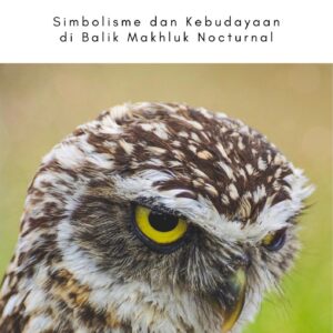 Burung hantu : simbolisme dan kebudayaan di balik makhluk nocturnal