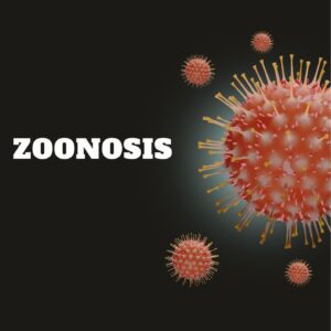 Zoonosis : jembatan tak terlihat antara alam liar dan urban