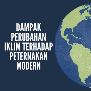 Dampak perubahan iklim terhadap peternakan modern