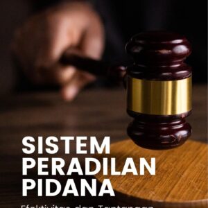 Sistem peradilan pidana : efektivitas dan tantangan yang dihadapi
