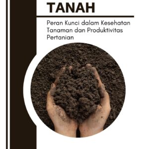 Mikrobiom tanah : peran kunci dalam kesehatan tanaman dan produktivitas pertanian